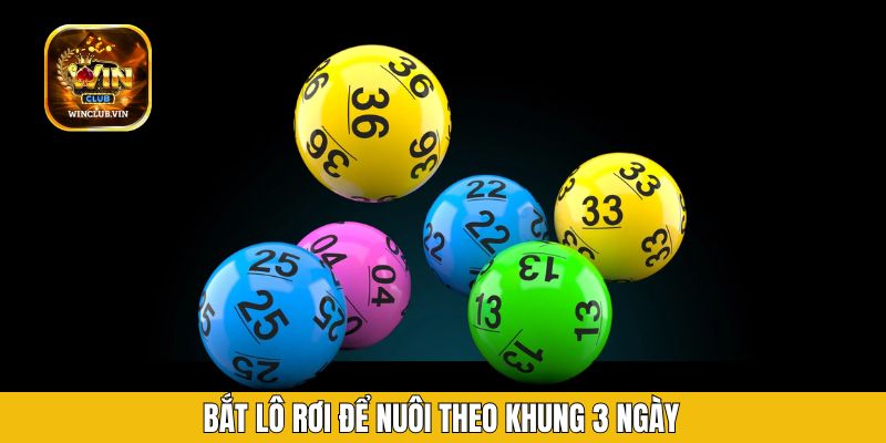 Bắt lô rơi để nuôi theo khung 3 ngày