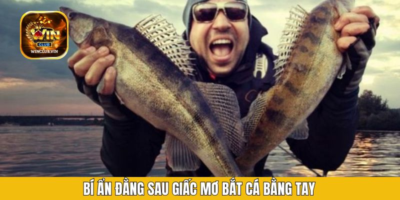 Bí ẩn đằng sau giấc mơ bắt cá bằng tay