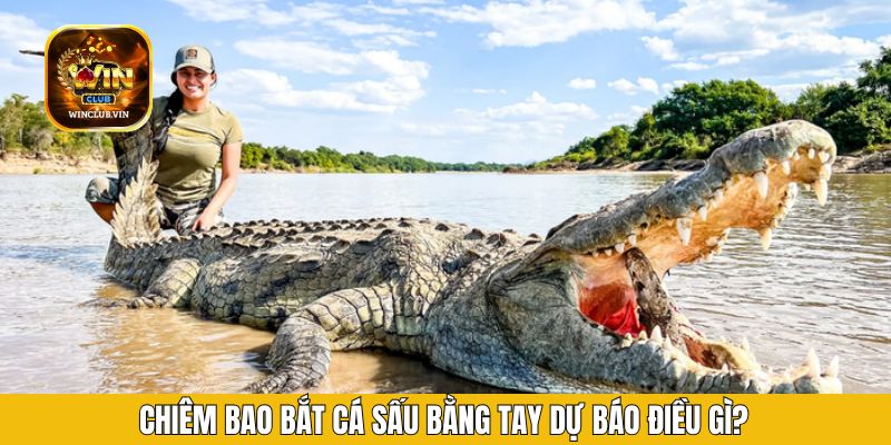 Chiêm bao bắt cá sấu bằng tay dự báo điều gì?