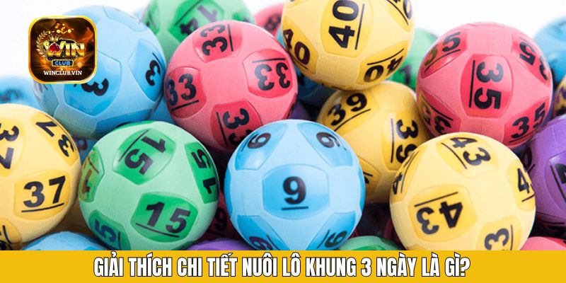 Giải thích chi tiết nuôi lô khung 3 ngày là gì?