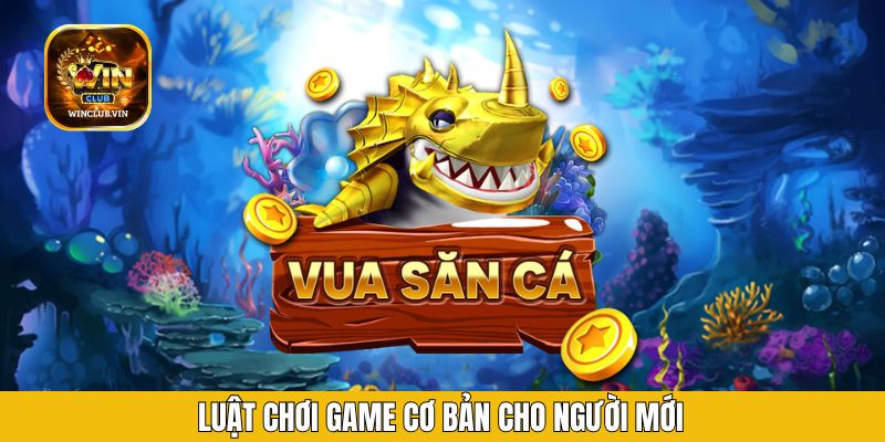 Luật chơi game cơ bản cho tân binh chưa kinh nghiệm