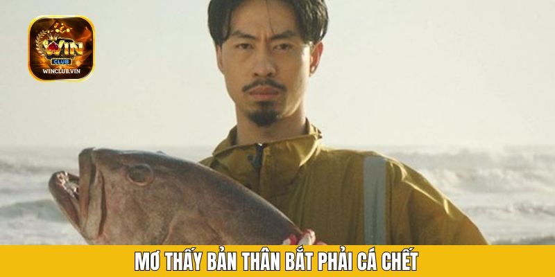 Mơ thấy bản thân bắt phải cá chết