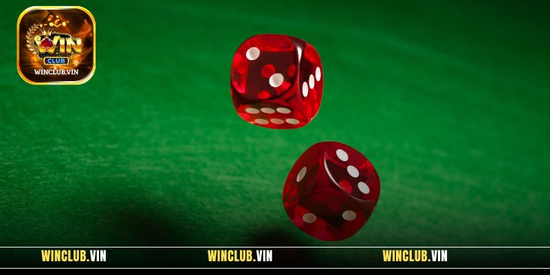 Thông tin tổng quan nhất về game Tài Xỉu Winclub đến hội viên