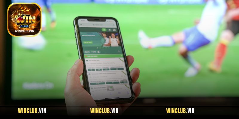 Thể thao Winclub cập nhật hàng loạt sự kiện, giải đấu quy mô hàng đầu thế giới