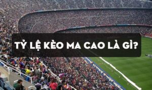 Tỷ lệ cược Macau là gì? Hướng dẫn cách cược tại Sin88 hiệu quả