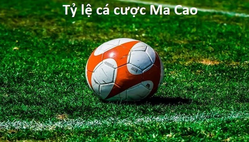 Tại sao tỷ lệ cược Macau được ưa chuộng tại Sin88